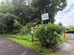 Jalan Merah Saga (D10), Condominium #603055411